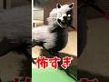 海外で怖すぎると話題のホラーゲーム