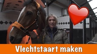 How To Vlechtstaart Maken Paardenpraattv