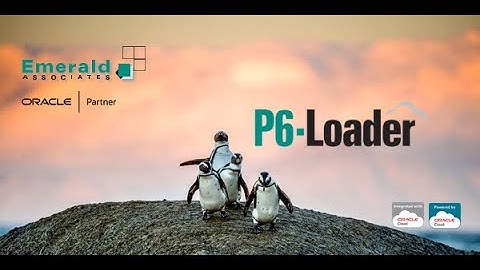 2025-05-22 - P6-Loader Webinar - Automate Primavera P6 Data Loading and Updating