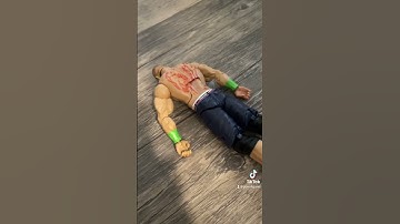 John cena vs Roman reigns