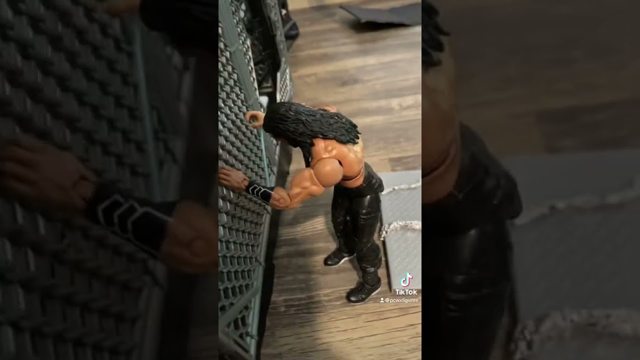 John cena vs Roman reigns