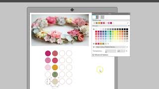 Custom Color Palettes + Recently Used Colors in Silhouette Studio®  V4.3
