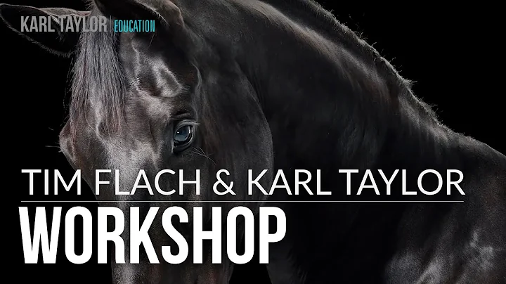 An incredible workshop with Karl Taylor and Tim Fl...
