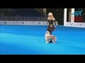 Fci dog dance world championship 2016 freestyle final  uta opel and dexter germany