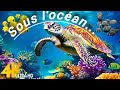 24 HOURS of 4K Underwater Wonders   Relaxing Music - The Best 4K Sea Animals for Relaxation.