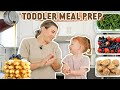 Toddler meal prep  picky eater kids meal ideas they will love