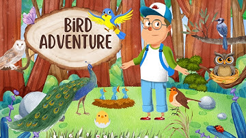 Bird Adventure | Exploring Our Feathered Friends | 3D Animated Video |