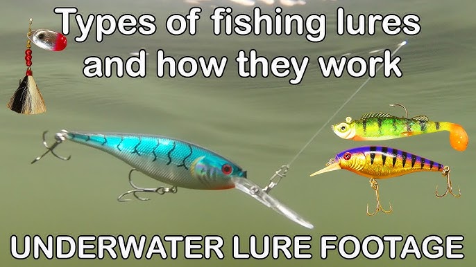 Fishing with Lures for Beginners - When to Use (Underwater Fishing Lures) 