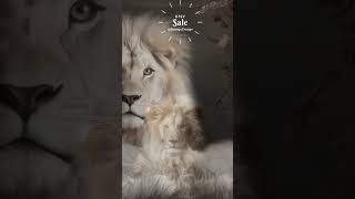 Lion Newborn Digital Backdrop, Boho Style Newborn Prop, Lion Newborn Prop, Lion Newborn Background