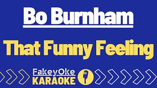 Bo Burnham - That Funny Feeling [Karaoke]