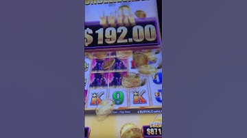 Buffalo Grand