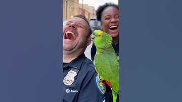 Talking Parrot Makes Police LOL. #shorts #parrot #FunnyParrot