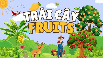 Các loại Trái Cây trong Tiếng Anh | Dạy bé từ vựng Tiếng Anh về trái cây | Fruits in English - Nhân