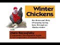 Winter Chickens - The Down and Dirty of Keeping a Laying Flock Through an Alaska Winter