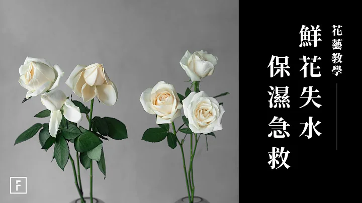 「温热水」超神奇，解救失水鲜花超暖表现｜花艺教学｜花里 FORi Flower - 天天要闻