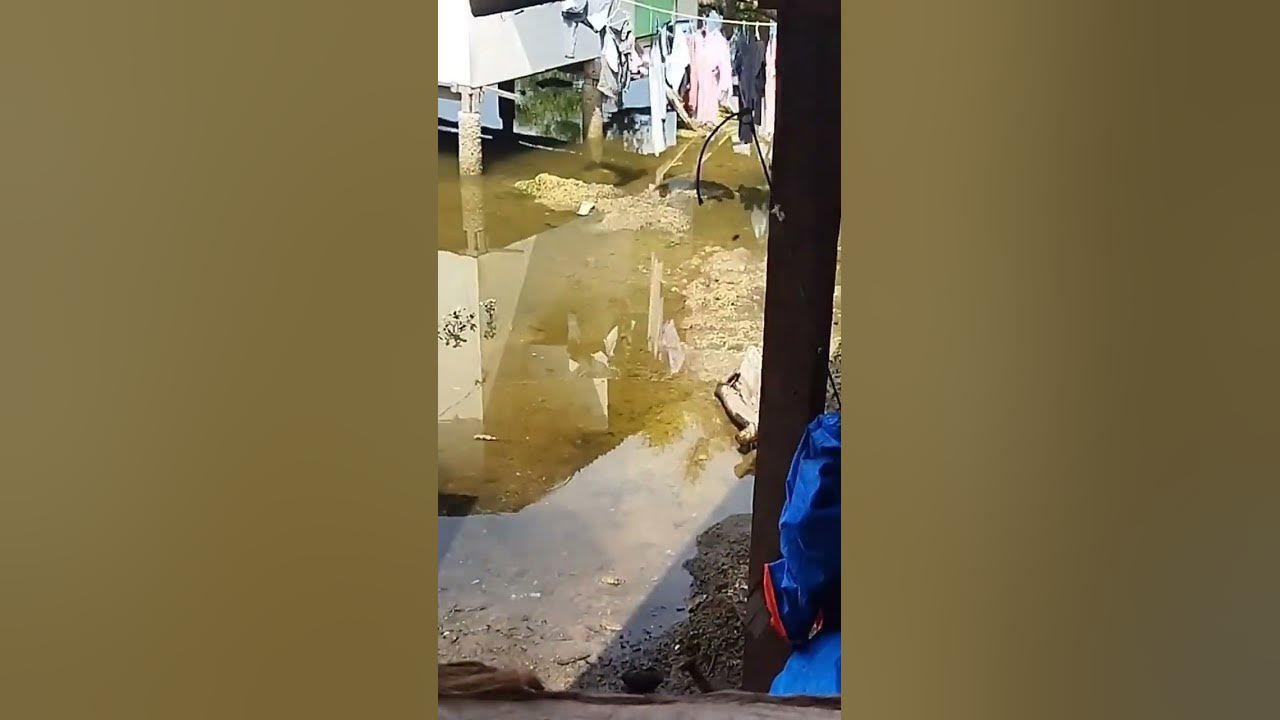 Lowtide Hightide Calendar Lowtide Hightide Calendar