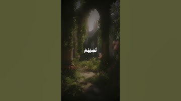 سورة النساء | الآية 78.