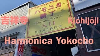 ハモニカ横丁潜入してみた  Harmonica Yokocho