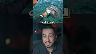 حاول العلماء تعليم الدلافين النظافة والنتيجة صدمتهم!!