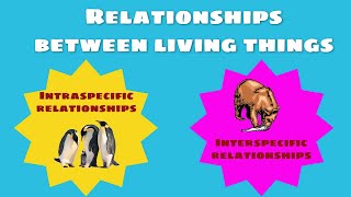 Relationships between living things: intraspecific and interspecific relationships.