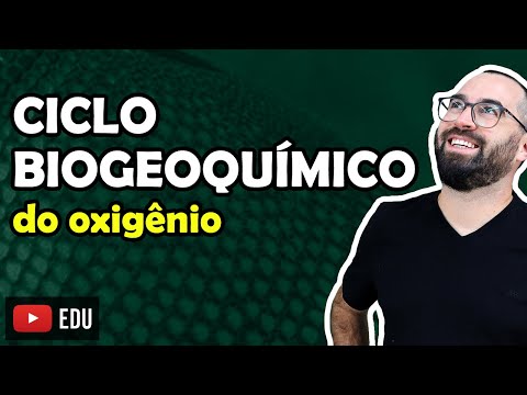 Ciclo Biogeoquímico do Oxigênio - Aula 07 - Módulo VIII: Ecologia | Prof. Gui