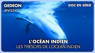 OCÉAN INDIEN : Mayotte, Îles Éparses, La Réunion, trésors de biodiversité | DOC COMPLET