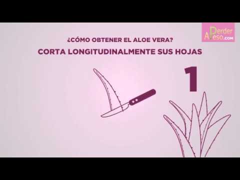 Cómo aprovechar las propiedades del aloe vera para adelgazar | APERDERPESO.COM camera iphone 8 plus apk