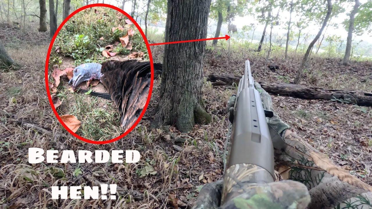 Bearded Hen on PUBLIC LAND! - Fall Turkey Hunting