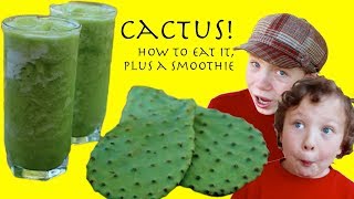 Cactus: How to Eat It, Plus a Recipe (Nopales)
