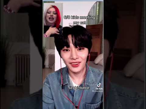 Stray kids reaccionando el gatito de una stay🥺❤️