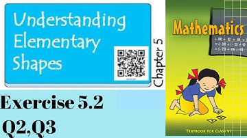 Class6 Maths Understanding Elementary Shapes Exercise 5.2 Q2, Q3