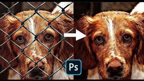 Remove Fence Easily in Photoshop CC!