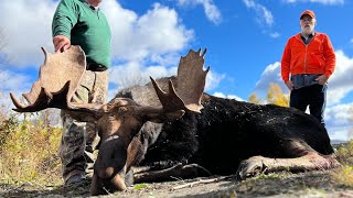 Bull of a Lifetime! | 2022 Maine Moose Hunt
