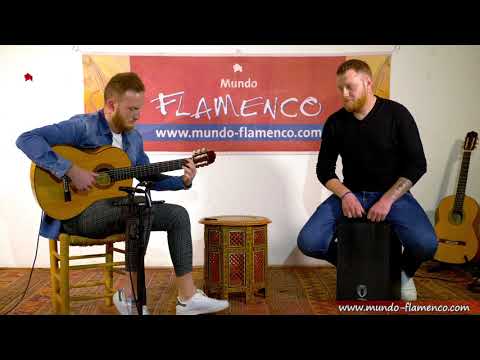 Mundo Flamenco Com Fragen Zur Gitarre