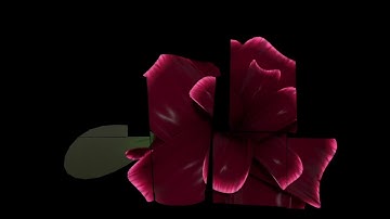 Projection Mapping (Fall 2018)- Flower in a Cup