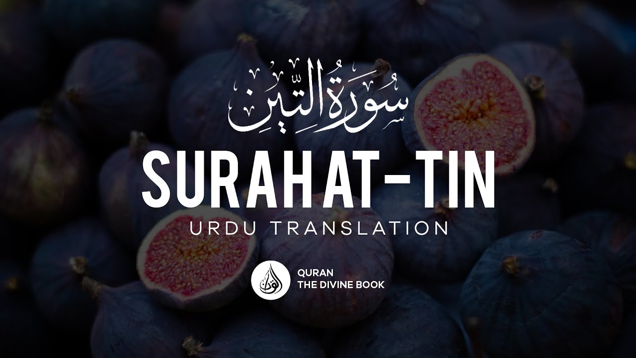 Surah At Tin Urdu Hindi Translation by Mufti Muhammad Taqi Usmani