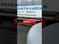 千葉県成田市の谷養魚場来たら化け物みたいな魚いた😳😳😳