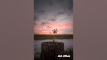انس المالك#_/سوره التوبه