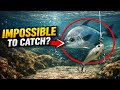 **7 ELUSIVE FISH: Why 99% of Anglers Will NEVER Hook These Species**