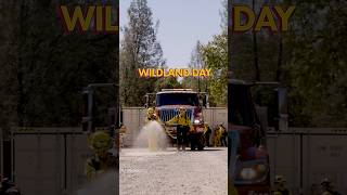 Camp Cinder Shasta: Wildland Day