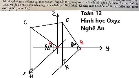 Liên trường Nghệ An:  Vào dịp Tết Nguyên Đán,một số địa phương tổ chức bắn pháo hoa lúc đón giao