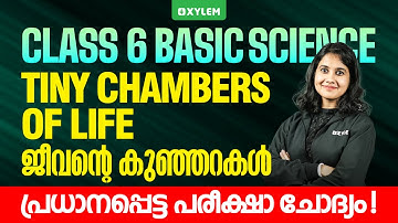 Class 6 Basic Science | Association of Substances | പദാർഥങ്ങളുടെ കൂട്ടായ്മ | Xylem Class 6