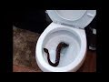 धरती का सबसे भयानक शौचालय  |  5 Most Terrifying Toilets