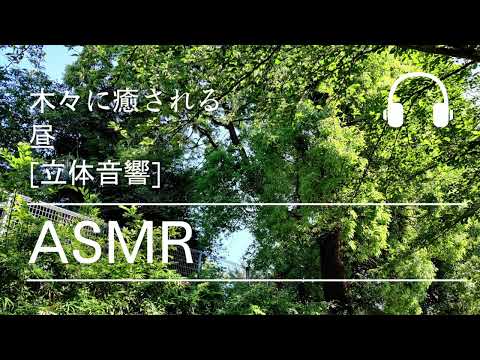 [ASMR][Remote_work]木々に癒される昼下がり・Relax in tree atmosphere.