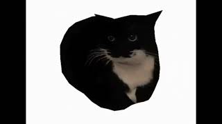 Maxwell Spinning To Metal