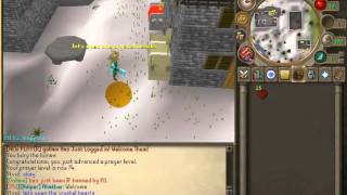luckyscape starting today!