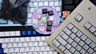 The Mechanical Keyboard Rabbit Hole: When Youre In Too Deep 4
There is no escape down here, only darkness and the cold embrace of bad financial decisions. I can hear the thock resonate within the empty husk that I have become. There is no saving me. At this point, the only direction that I can go is even further down. This is meant to be satire and an exaggerated look at the silly things within this niche hobby!
My Socials:
Twitter: https://twitter.com/notshoobs
Twitch: https://www.twitch.tv/shoobstube
Instagram(I post updates here): https://www.instagram.com/notshoobs/
Shoobsland Discord Server: https://discord.gg/J58NTFpcxT
Music Used:
ED Song: https://youtu.be/HiK31S6JoFM
Affiliate Sponsors:
Bolsa Supply:
Use the link and code SHOOBS to get 5% off and to support the channel:
https://bolsakeyboardsupply.com/?ref=shoobs
Cannon Keys:
Cannon Keys does not offer discounts, unfortunately, but you can use the link to help support the channel:
https://cannonkeys.com/?ref=shoobs
Drop:
You can use the Drop affiliate link for ANY purchase to help me out: https://massdrop.7eer.net/SHOOBS
KBDfans:
KBDfans does not offer discounts, unfortunately, but you can use the link to help support the channel:
https://kbdfans.com/r?id=enpco6
Kinetic Labs:
Kinetic Labs does not offer discounts, unfortunately, but you can use the link to help support the channel:
https://kineticlabs.store/shoobs
Ashkeebs:
Use code: SHOOBS AND the referral link for 5% off and to support the channel:
https://www.ashkeebs.com/?aff=11
Dangkeebs:
Use code: SHOOBS AND the referral link for 5% off and to support the channel:
https://dangkeebs.com/?ref=SHOOBS
Prevail Key Co:
Use code: SHOOBS or the referral link for 5% off and to support the channel:
https://prevailkeyco.com/?ref=shoobs
Parallel:
Use code: shoobs7 for 7% off and to support the channel:
https://parallel.limited The Mechanical Keyboard Rabbit Hole: When Youre In Too Deep 4