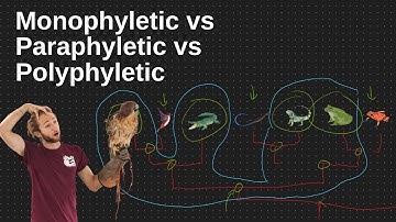 Phylogenetic Groups - Monophyly, Paraphyly, and Polyphyly Explained