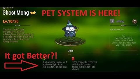Epic Seven Pet and Memory update tutorial!