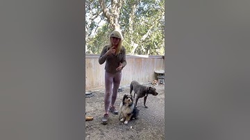 Important Details About Spatial Pressure